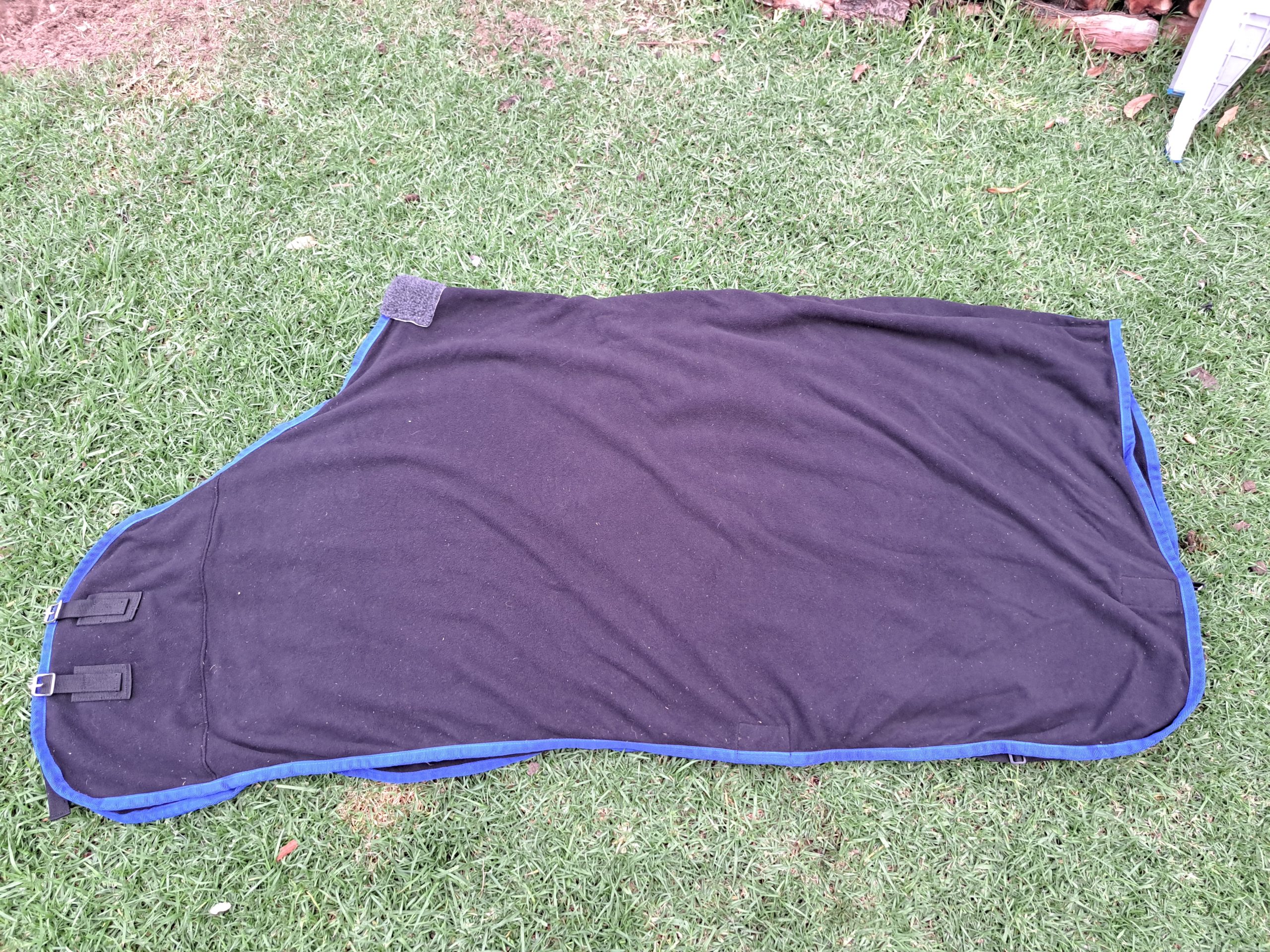 Fleece horse blanket