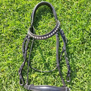 Black Bridle
