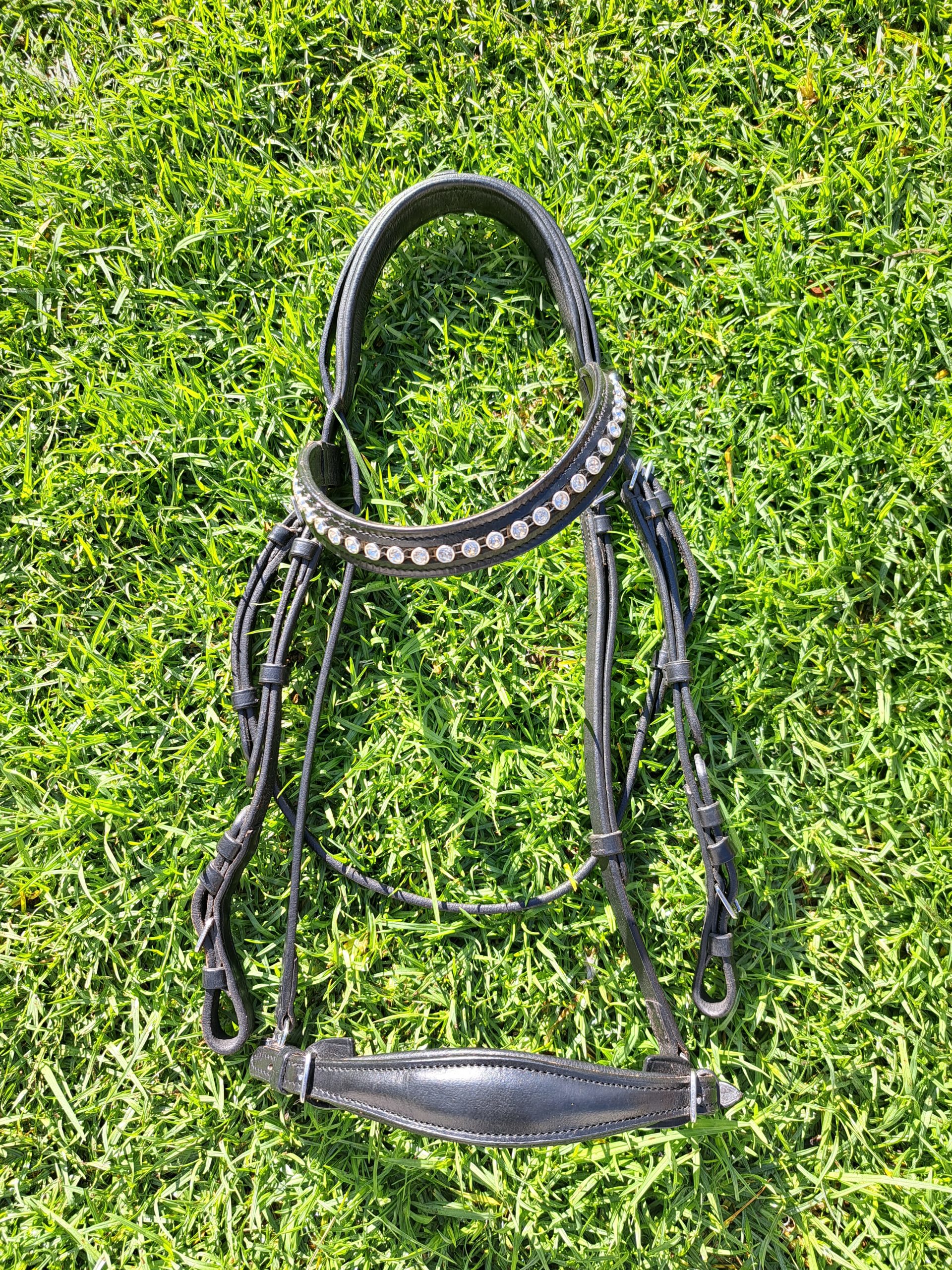 Black Bridle