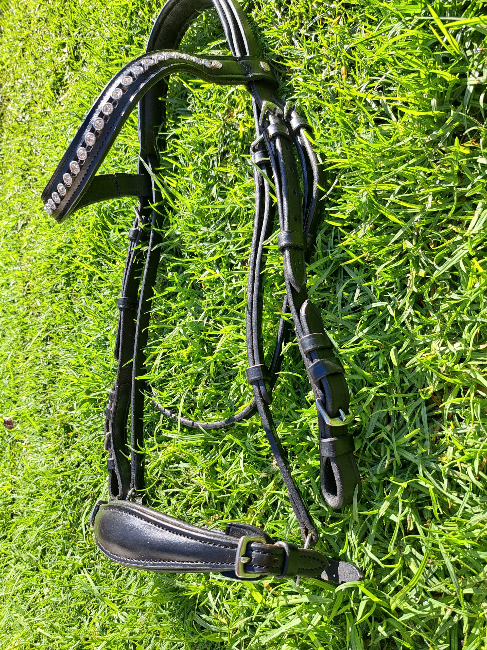 Black Bridle