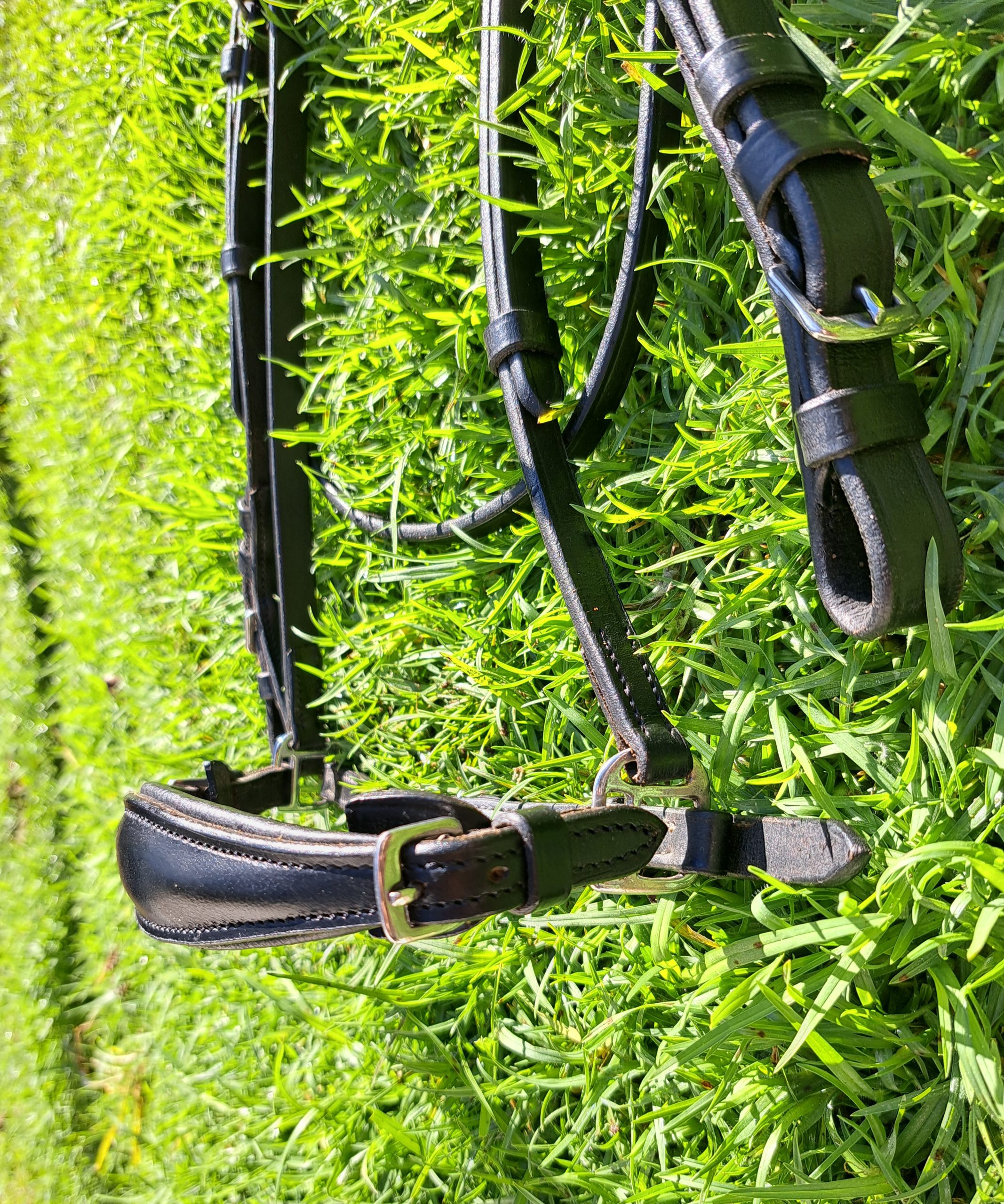 Black Bridle