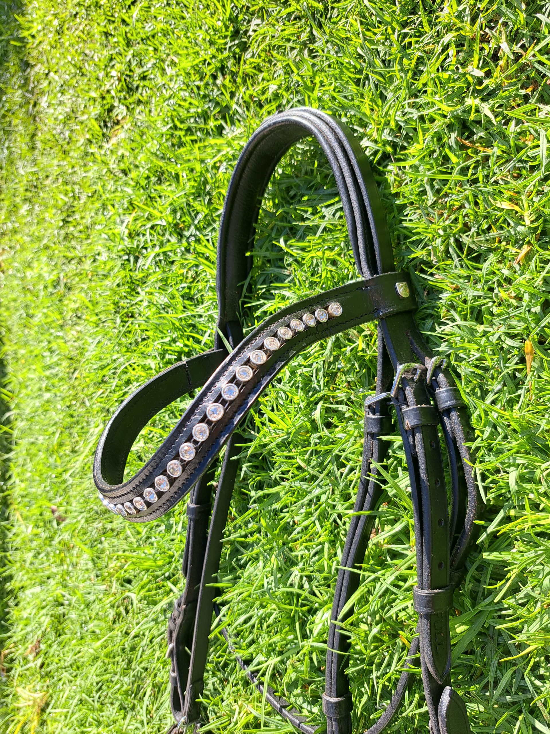 Black Bridle