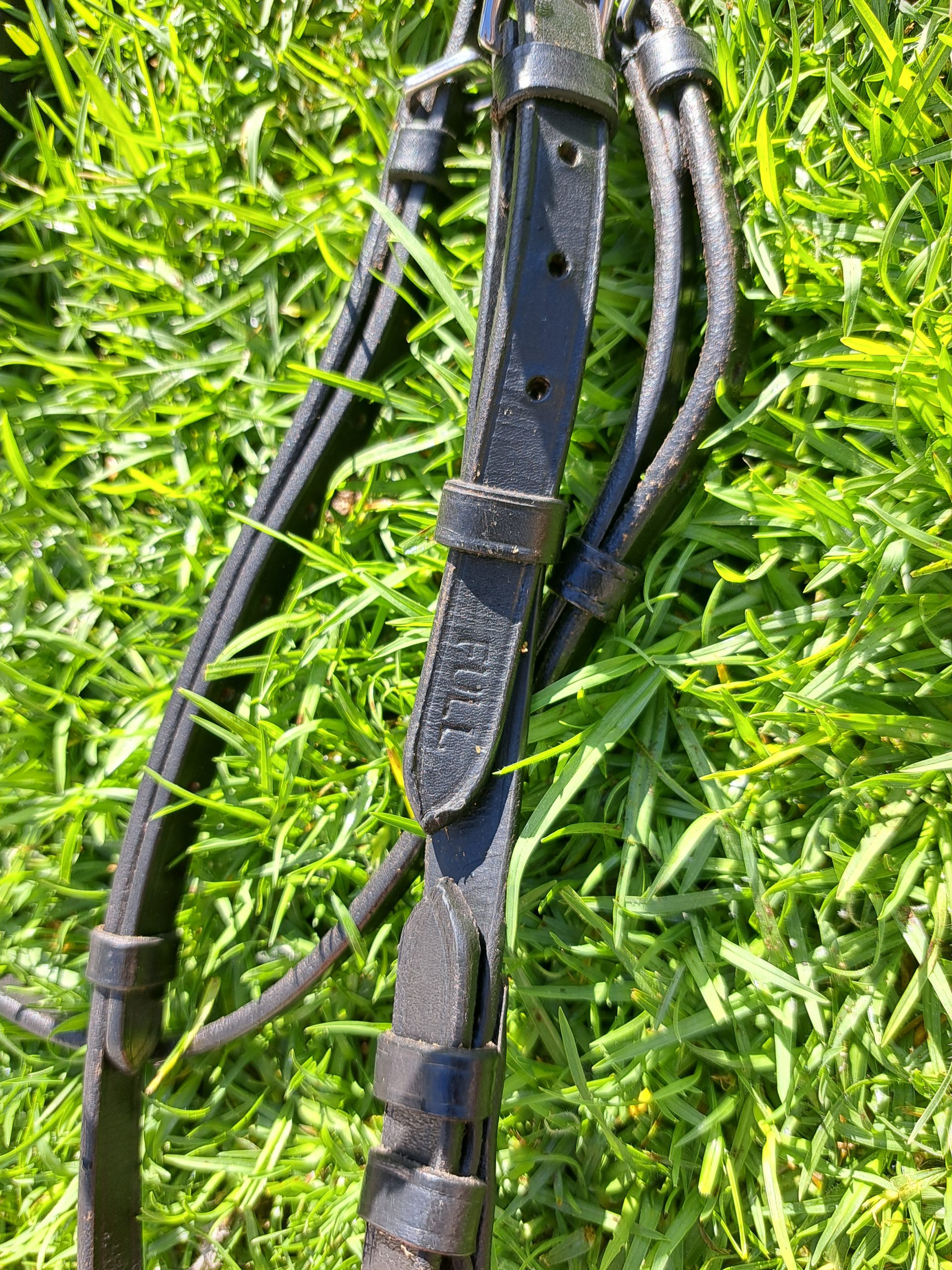 Black Bridle