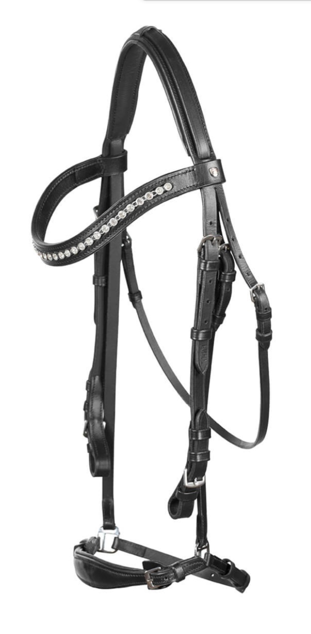 Black Bridle