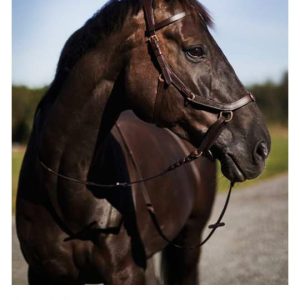 Brown Orlando relief Bridle