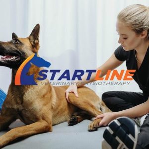 physiotherapist treating a dog