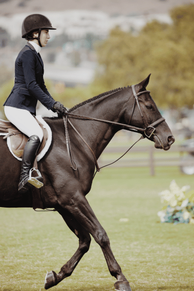 rider on horse
