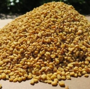 Fenugreek Seed by Honeyvale Herbs