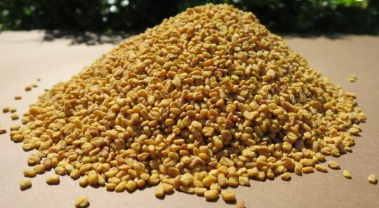 Fenugreek Seed by Honeyvale Herbs